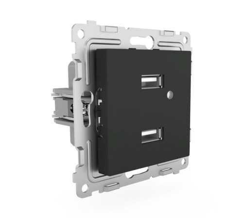 Розетка 2-м USB СП Pixel тип A+A 5В 1х2.1А 2х1.05А механизм карбон TOKOV ELECTRIC TKE-PX-2USB-C14 Розетка 2-м USB СП Pixel тип A+A 5В 1х2.1А 2х1.05А механизм карбон TOKOV ELECTRIC TKE-PX-2USB-C14