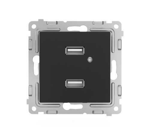 Розетка 2-м USB СП Pixel тип A+A 5В 1х2.1А 2х1.05А механизм карбон TOKOV ELECTRIC TKE-PX-2USB-C14 Розетка 2-м USB СП Pixel тип A+A 5В 1х2.1А 2х1.05А механизм карбон TOKOV ELECTRIC TKE-PX-2USB-C14